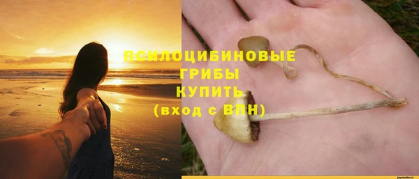 МДПВ Володарск